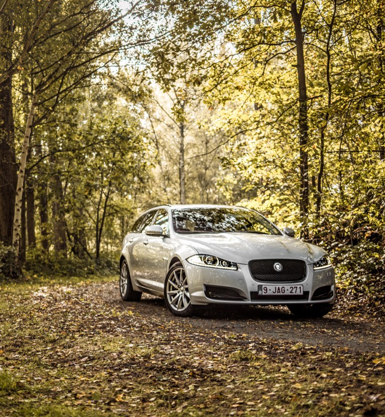A Jag in the countryside